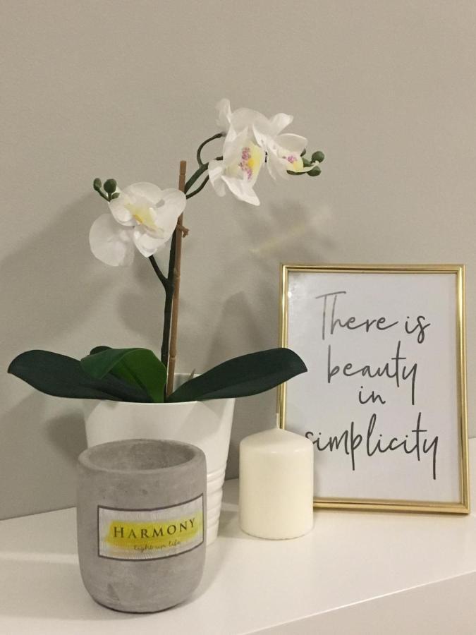 Harmony Apartment Σινάια Εξωτερικό φωτογραφία