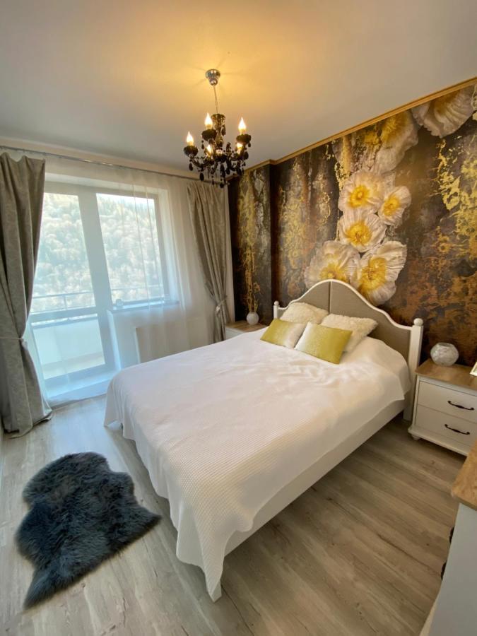 Harmony Apartment Σινάια Εξωτερικό φωτογραφία